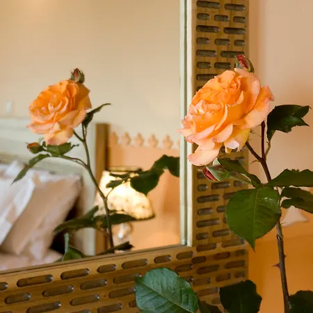 Ilaeira Mountain Hotel Tóriza