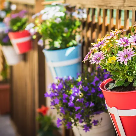 Szálloda Ilaeira Mountain