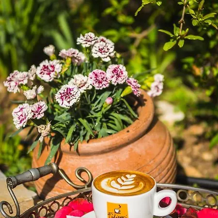 Ilaeira Mountain Hotel Toriza