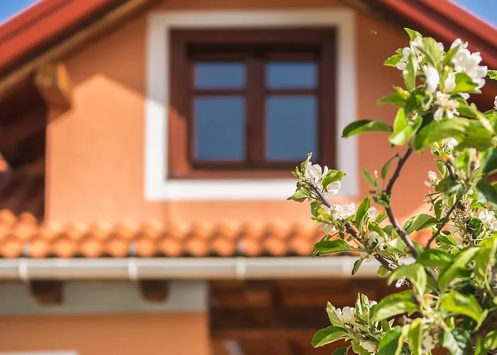 Ilaeira Mountain Tóriza