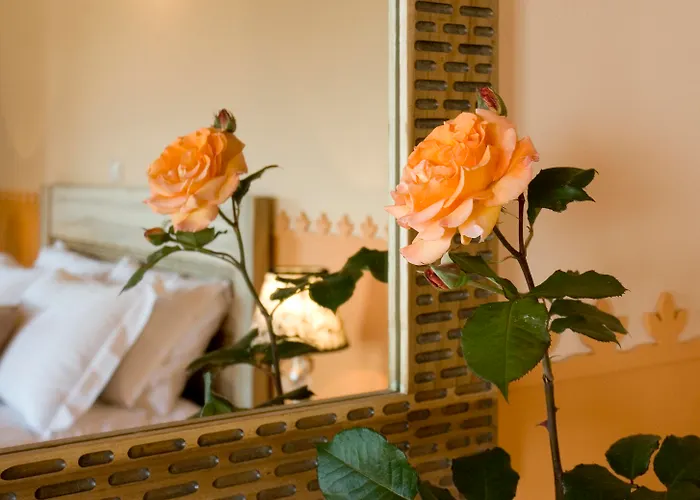 Ilaeira Mountain Отель Toriza