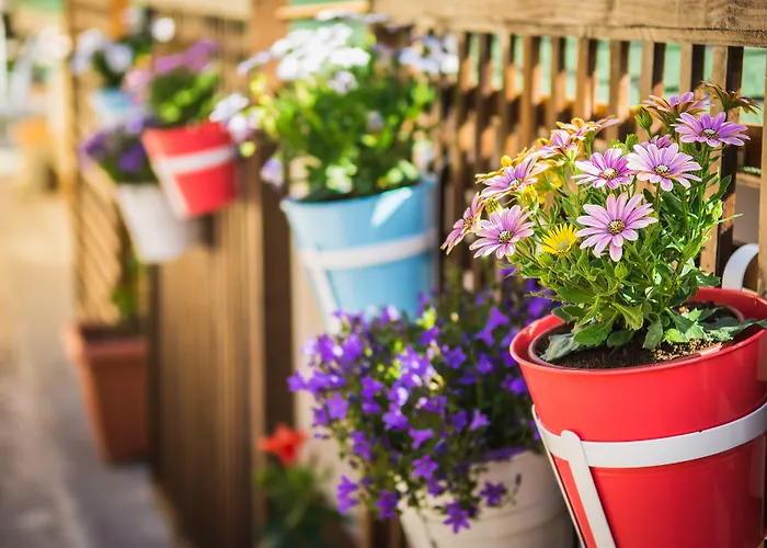 Отель Ilaeira Mountain